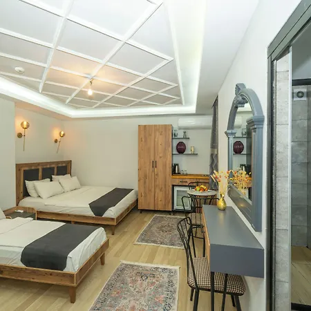 Mansion Valeria Gasthuis Istanboel