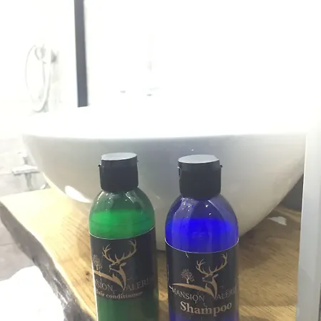 Mansion Valeria Istanboel